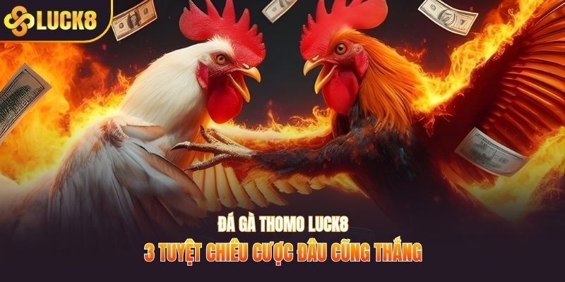 Đá gà thomo